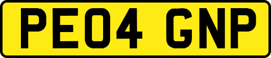 PE04GNP