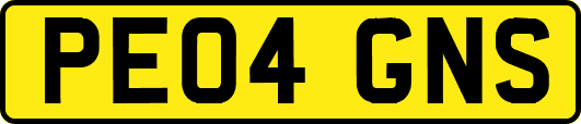 PE04GNS