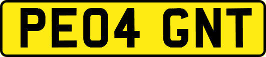 PE04GNT