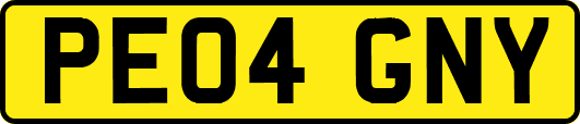 PE04GNY