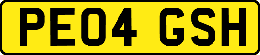 PE04GSH