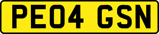 PE04GSN