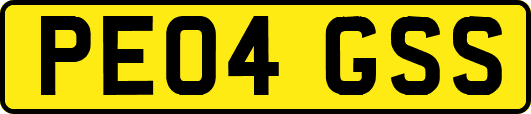 PE04GSS