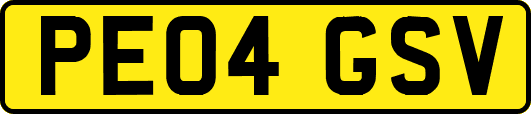 PE04GSV