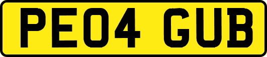 PE04GUB