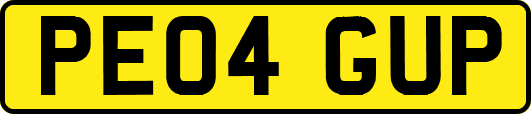 PE04GUP