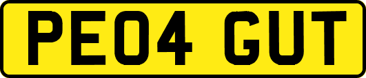 PE04GUT