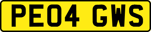 PE04GWS