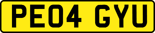 PE04GYU