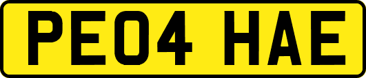 PE04HAE