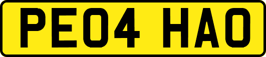 PE04HAO