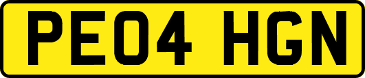 PE04HGN