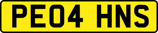 PE04HNS