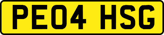PE04HSG