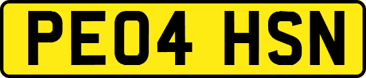PE04HSN