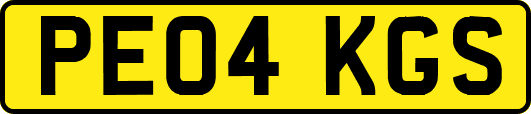 PE04KGS