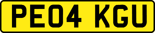 PE04KGU
