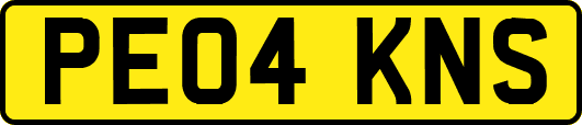 PE04KNS