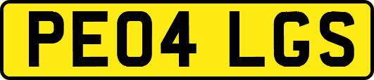 PE04LGS