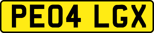 PE04LGX