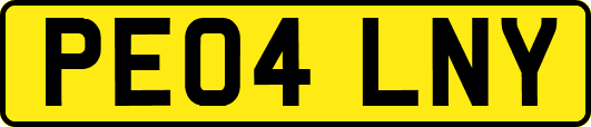 PE04LNY