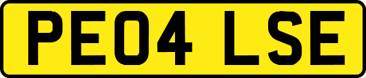 PE04LSE