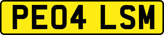 PE04LSM