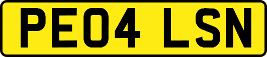 PE04LSN