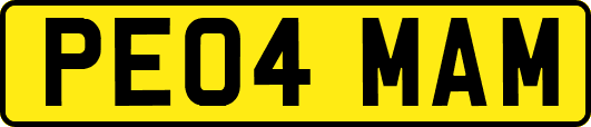 PE04MAM