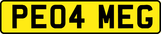 PE04MEG