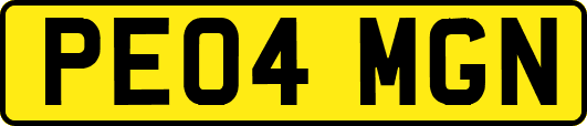 PE04MGN