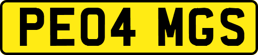 PE04MGS