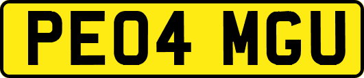 PE04MGU