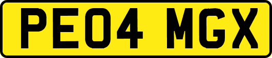 PE04MGX
