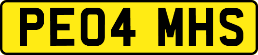 PE04MHS