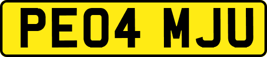 PE04MJU