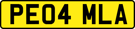 PE04MLA