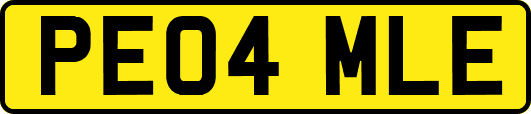PE04MLE