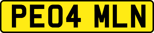 PE04MLN