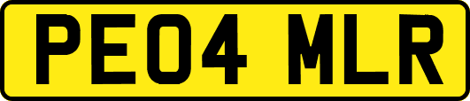PE04MLR