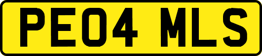 PE04MLS