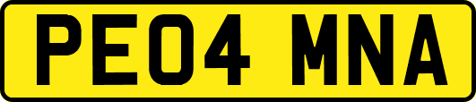 PE04MNA