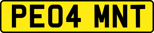 PE04MNT