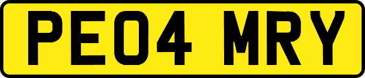 PE04MRY