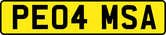 PE04MSA