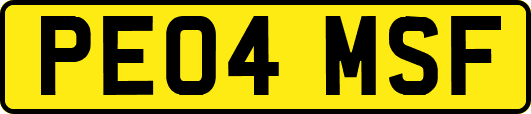 PE04MSF