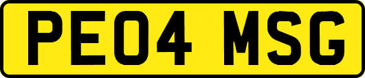 PE04MSG