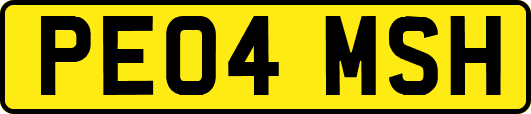 PE04MSH