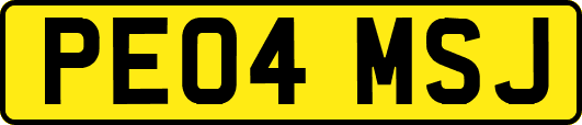 PE04MSJ