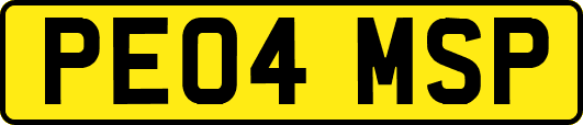 PE04MSP